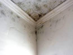 Best Real Estate Mold Inspection  in Kuna, ID