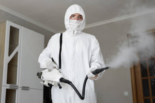 Best Biohazard Mold Removal  in Kuna, ID